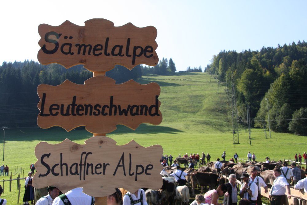 Holzschilder der Alpen Sämelalpe, Leutenschwand und Schaffner Alpe