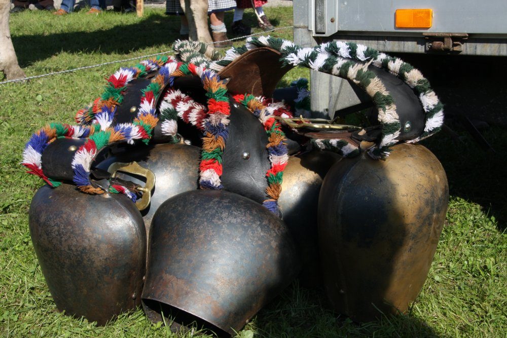 Große Kuhglocken mit bunten Bändern im Gras