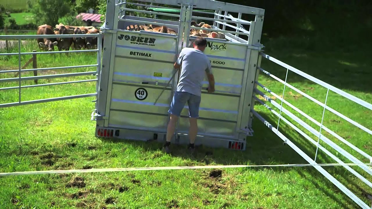 Vorschaubild des Videos „JOSKIN BETIMAX RDS“