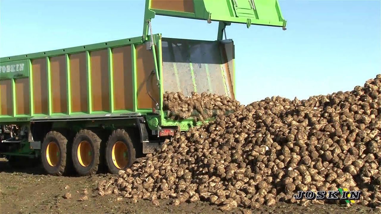 Vorschaubild des Videos „JOSKIN DRAKKAR“